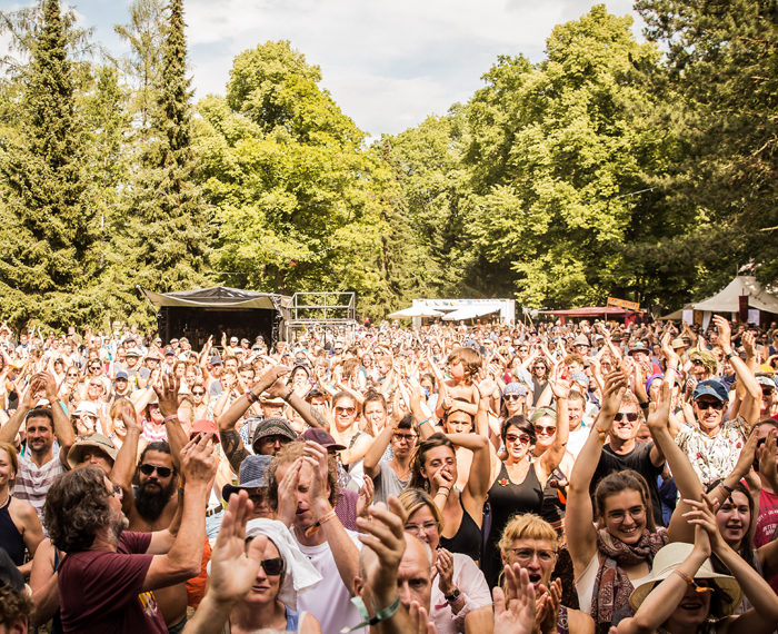 Rudolstadt Festival 03