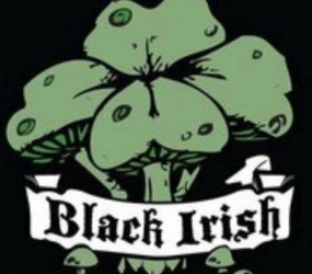 Black Irish Band