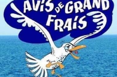 Avis de Grand Frais Logo