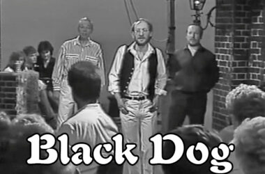 Black Dog