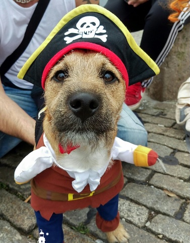 Logo or image that represents the venue and event.