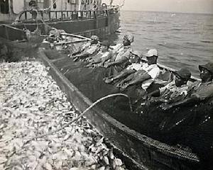 Logo or Promotional Image