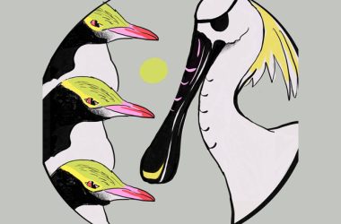 Cap'n Spoonbill & the Hoiho