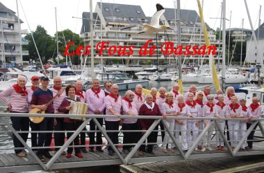 Fous_Bassin_Image_1