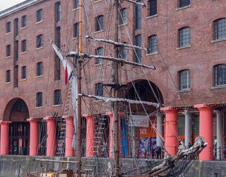 Zebu in front of the Albert Dock warehouses