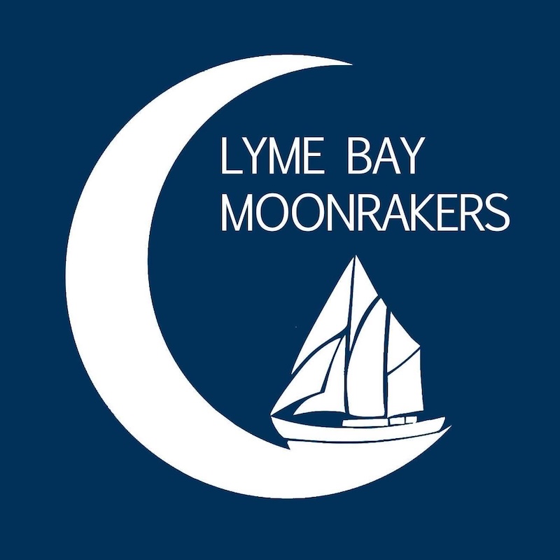 Logo or Promotional Image