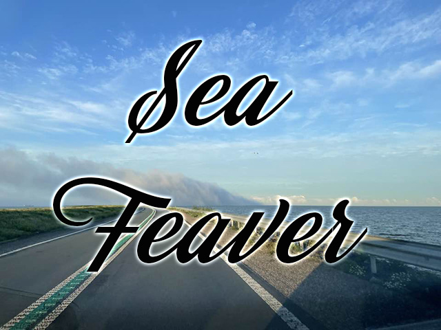 Logo or Promotional Image