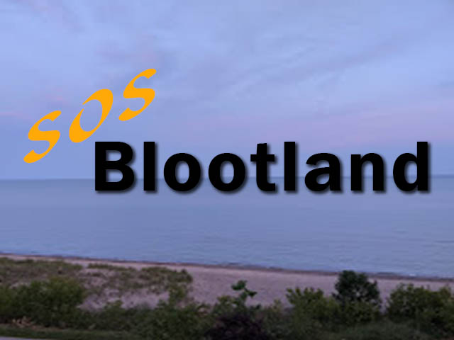 Logo or Promotional Image