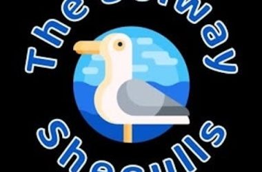 Solway-Shegulls-Logo