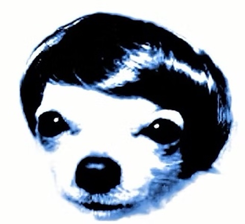 Logo or Promotional Image