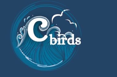 C Birds Logo