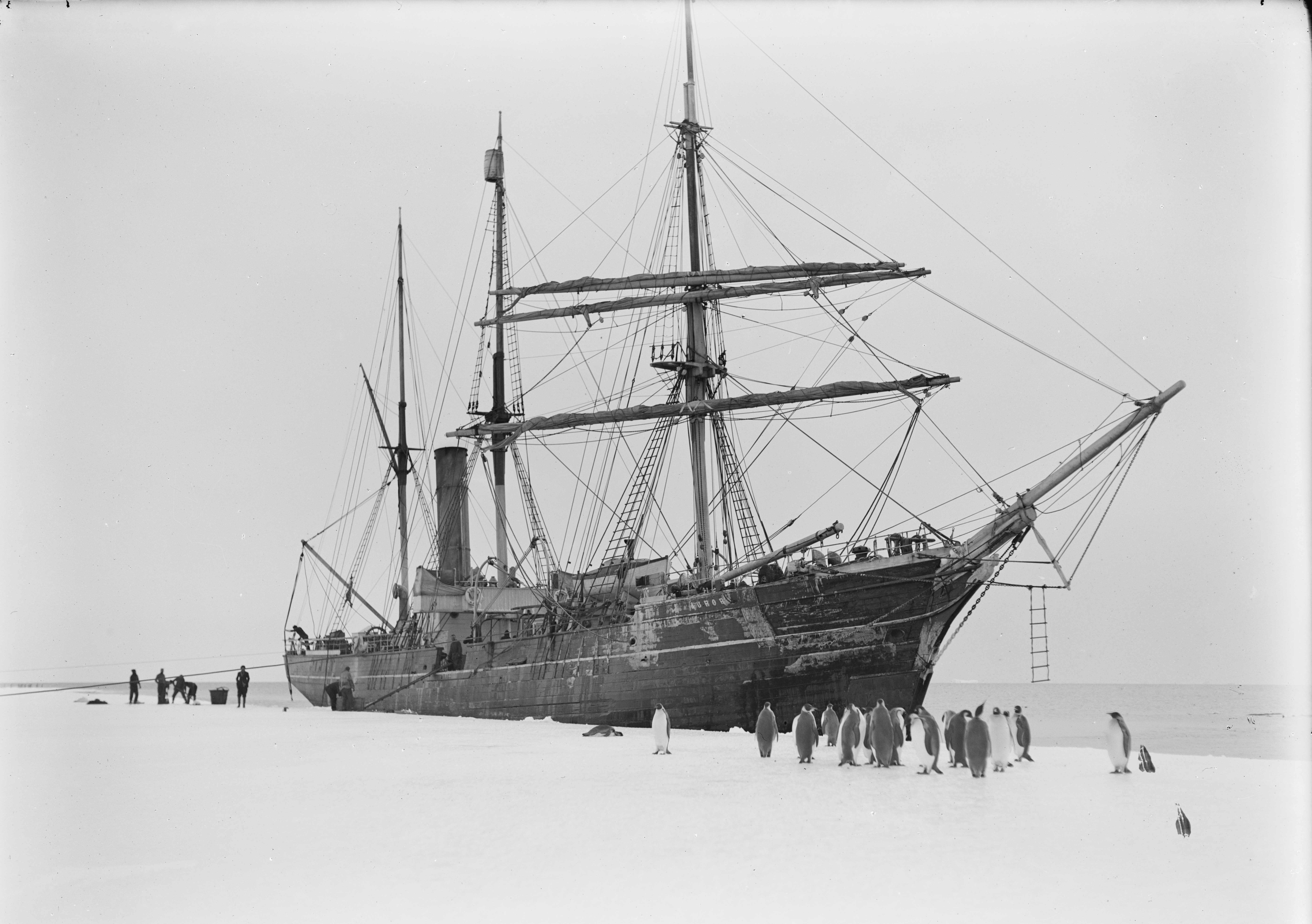Frigate Aurora Lost at Sea