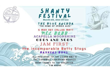 Blue Anchor Shanty Festival Image