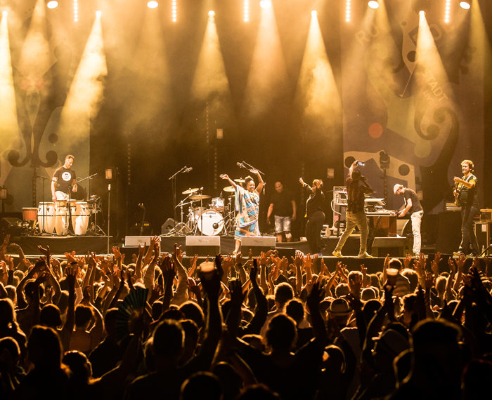 Rudolstadt Festival 02