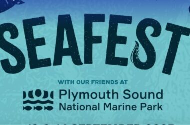 Seafest Plymouth Logo 1025